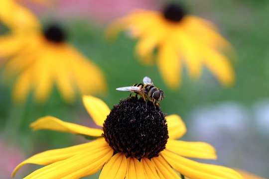 beeautifulday1.jpg