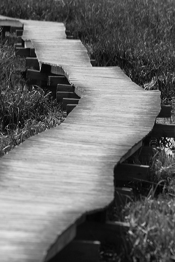 boardwalk.jpg