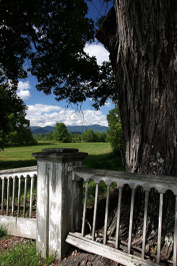 fence.jpg