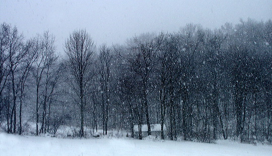 snow.jpg