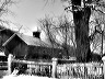 barn