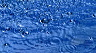 bubbles