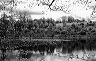 pond
