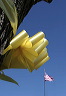 ribbon