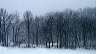 snow